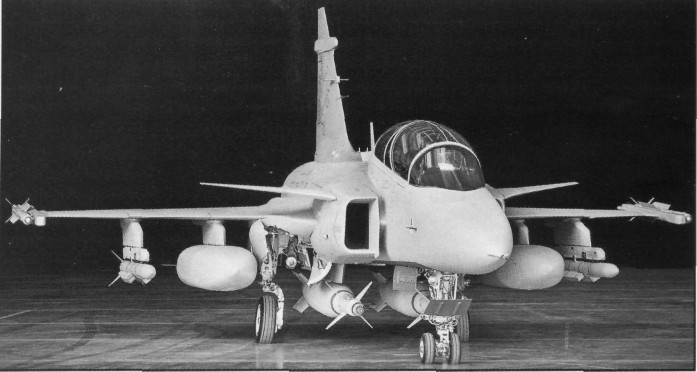 Jas39030.jpg
