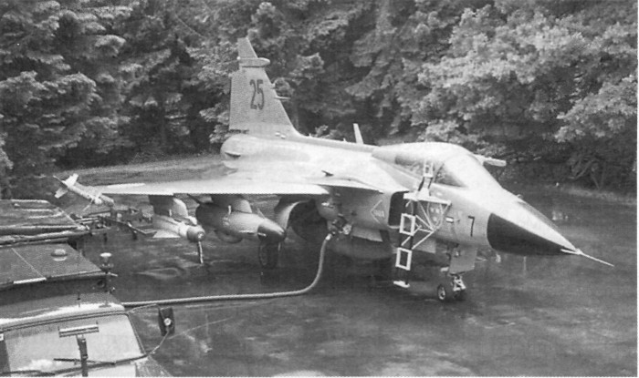Jas39040.jpg