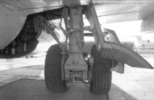 Tu334Y10025.jpg