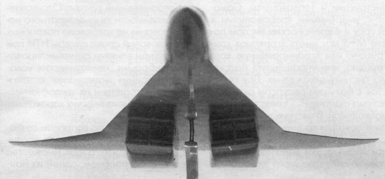 TuHipSon045.jpg