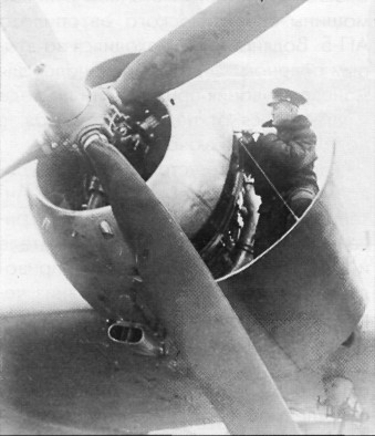 WingOSea049.jpg