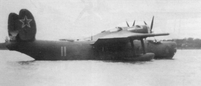 WingOSea051.jpg