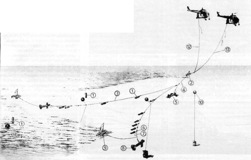 WingOSea101.jpg
