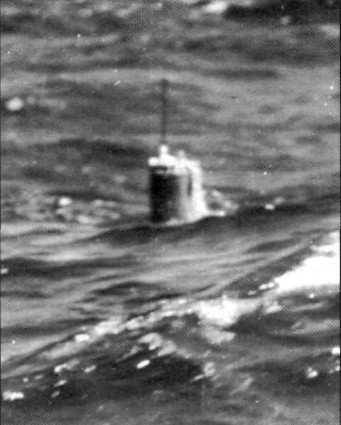 WingOSea135.jpg
