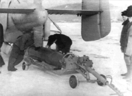 WingOSea147.jpg