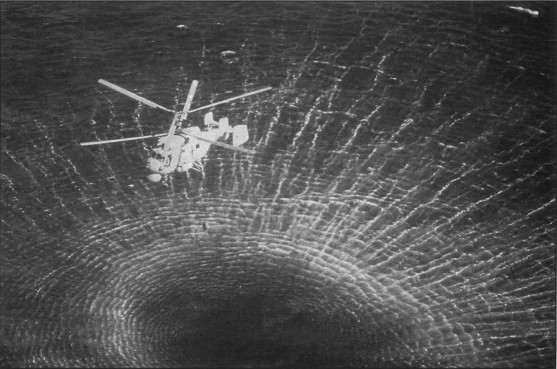 WingOSea149.jpg