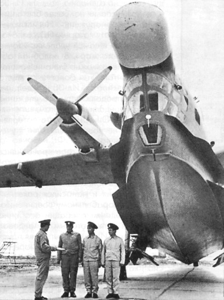 WingOSea163.jpg