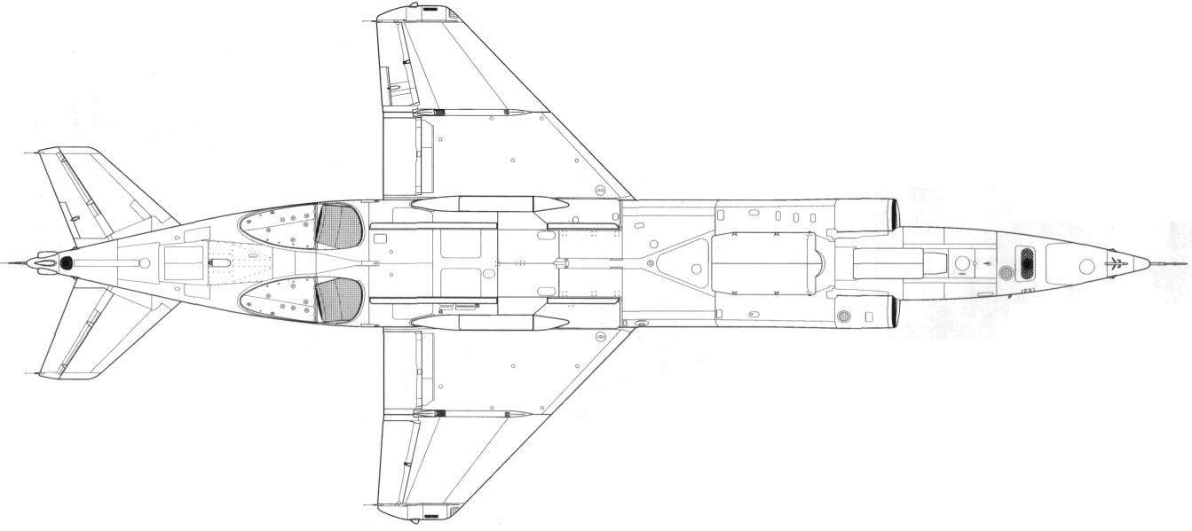 WingOSea197.jpg