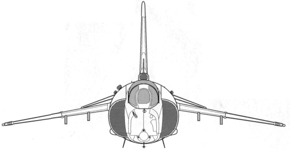 WingOSea198.jpg