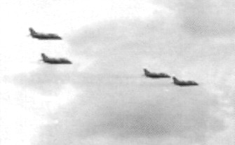 WingOSea219.jpg