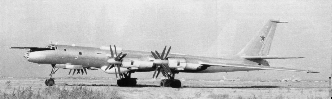 WingOSea233.jpg