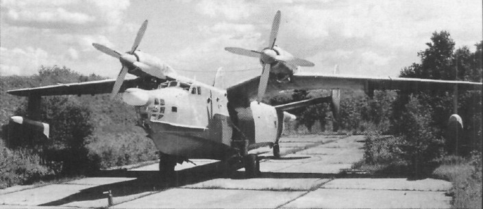 WingOSea251.jpg