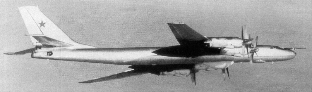 WingOSea259.jpg