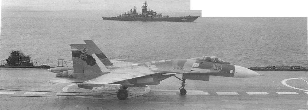 WingOSea295.jpg