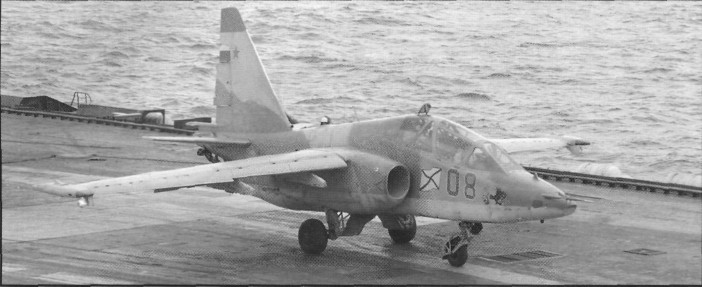 WingOSea296.jpg