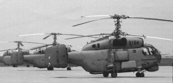 WingOSea313.jpg