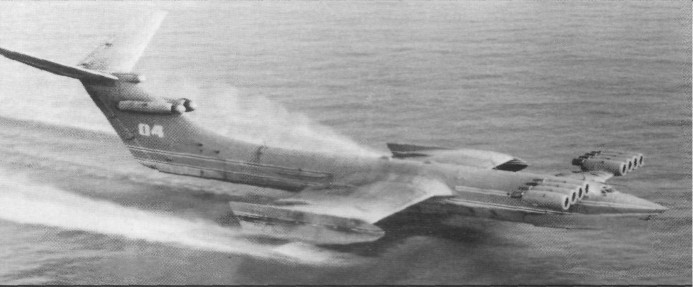 WingOSea317.jpg