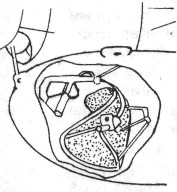 A4D011.jpg