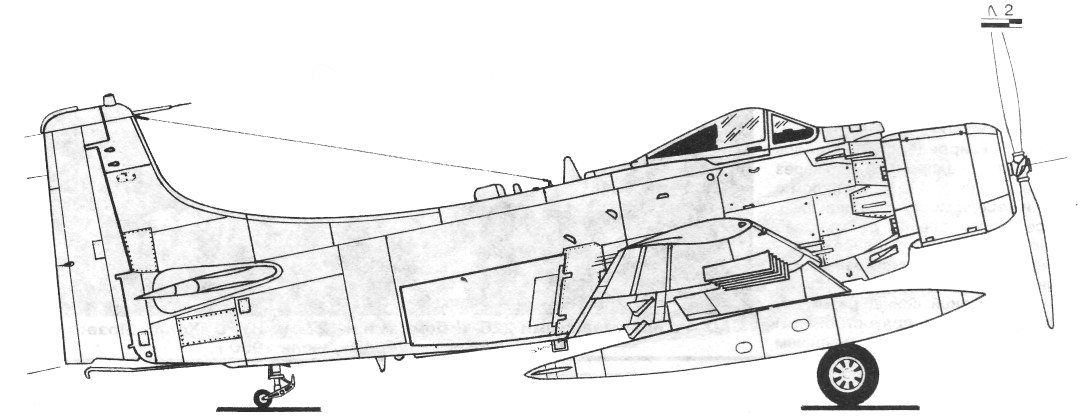 A4D013.jpg