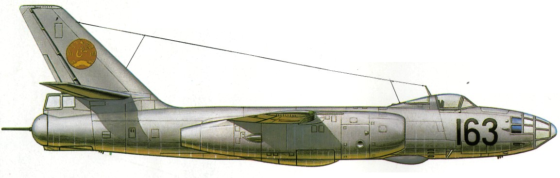 Afg78013.jpg
