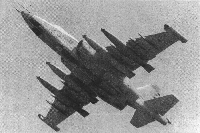 Afgan155.jpg