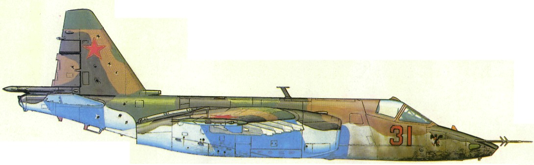 Afgan169.jpg