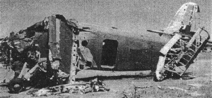 An2Ft003.jpg