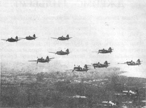 F2A021.jpg