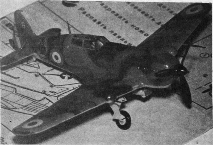 MS406016.jpg