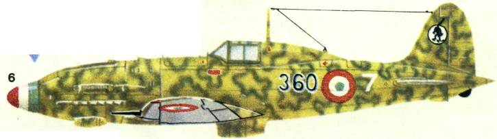Mc202026.jpg