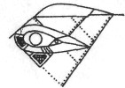 Mi24038.jpg