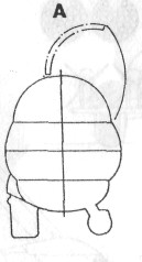 Mi24043.jpg