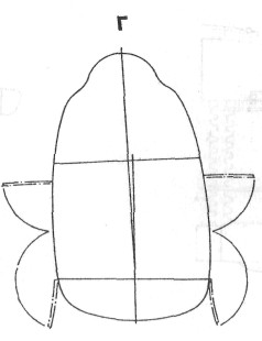 Mi24046.jpg
