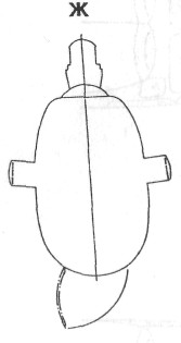 Mi24049.jpg