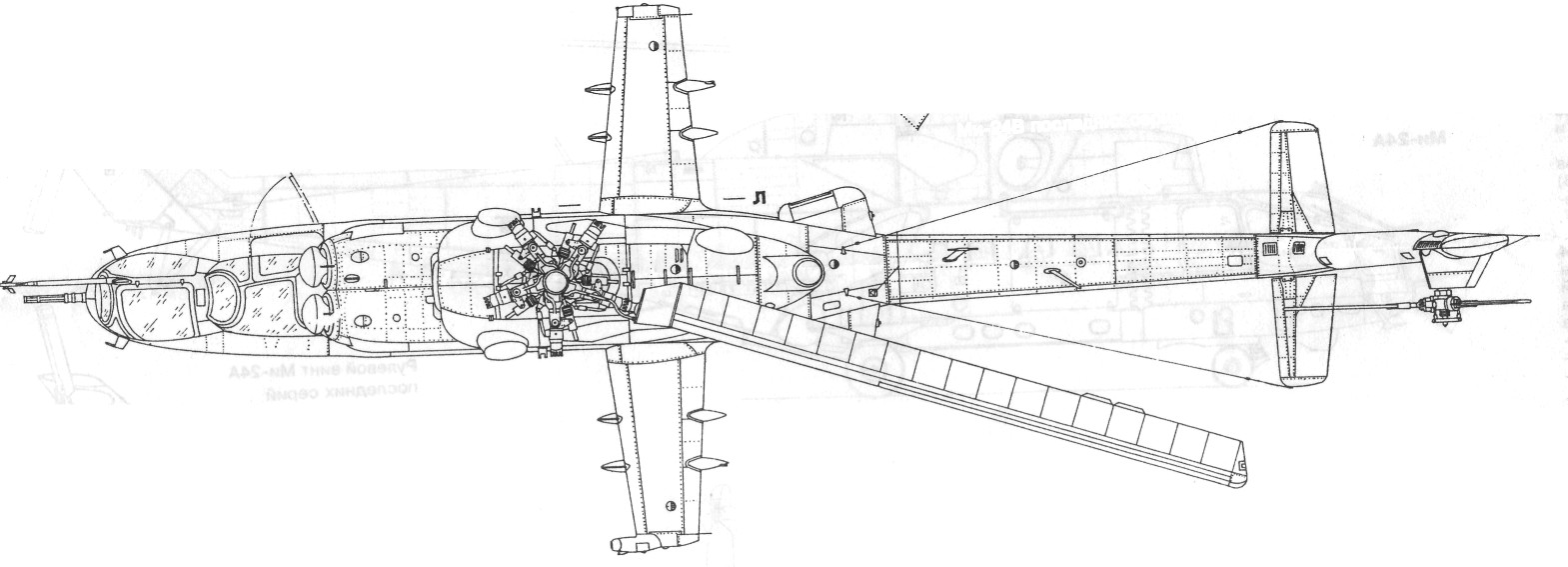 Mi24058.jpg