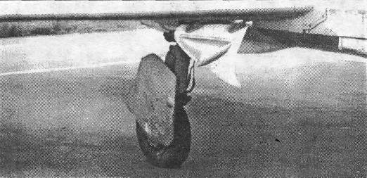 Mig19027.jpg