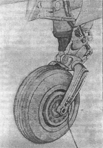 Mig19028.jpg