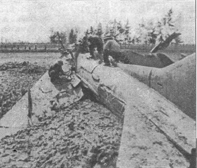 Mig19044.jpg