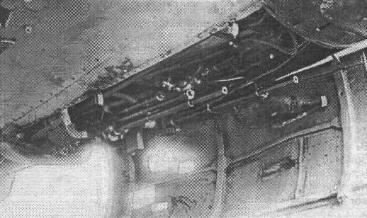 Pe3018.jpg