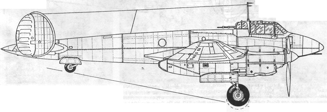 Pe3036.jpg