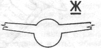 Pe3041.jpg