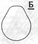 Pe3043.jpg