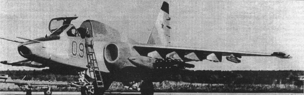 Su39001.jpg