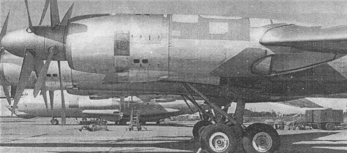 Tu95009.jpg