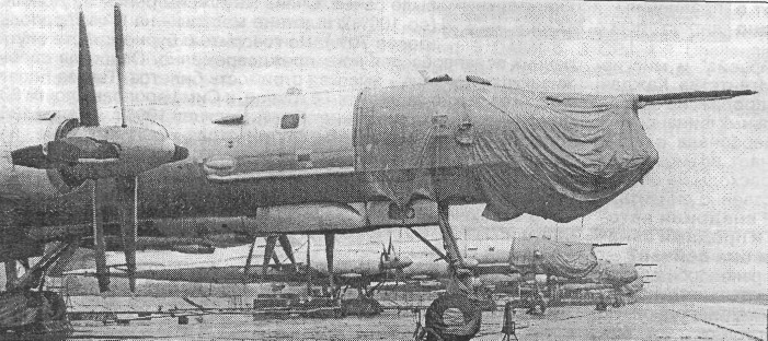 Tu95051.jpg
