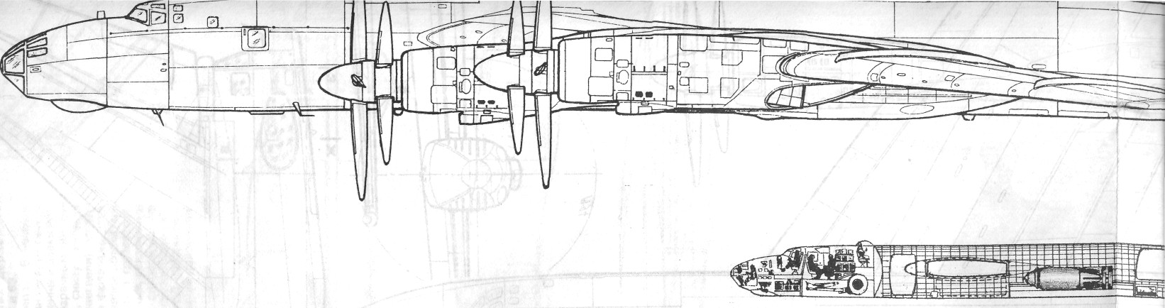 Tu95074.jpg