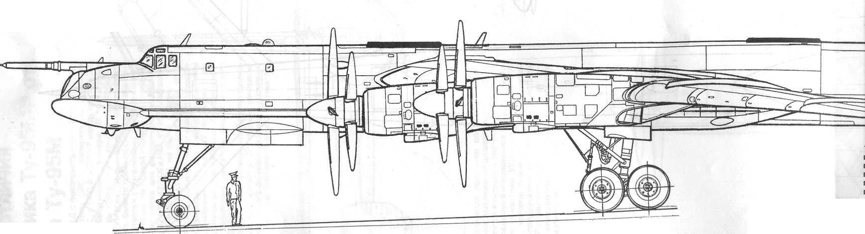 Tu95079.jpg