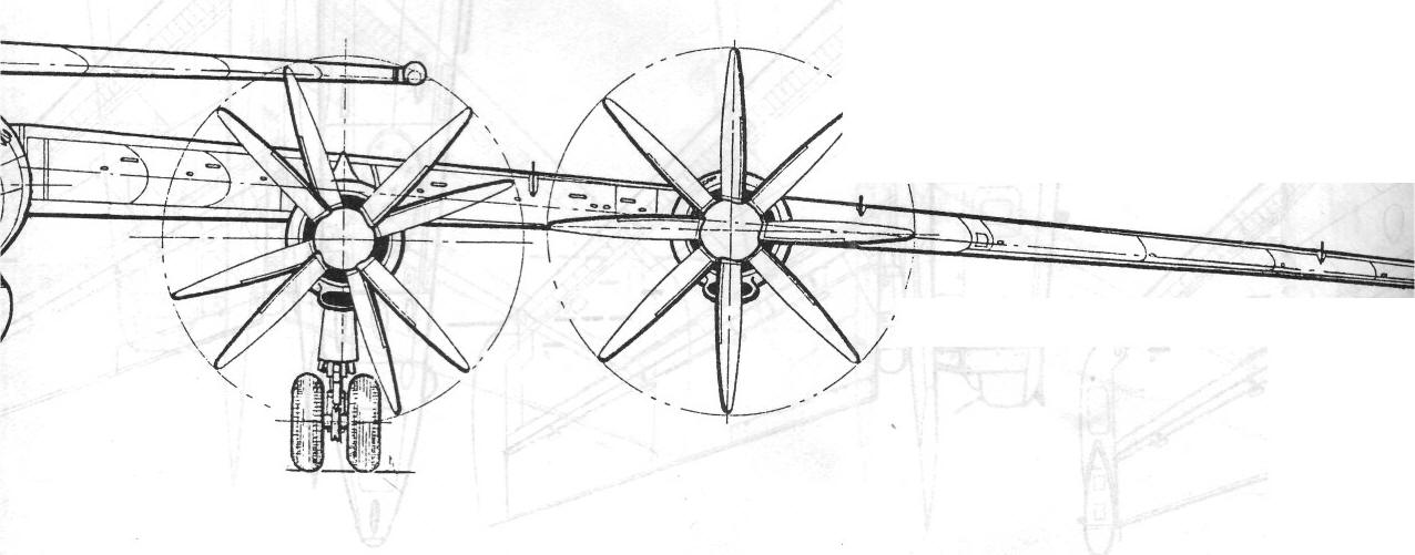 Tu95095.jpg
