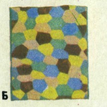 UWFGV021.jpg