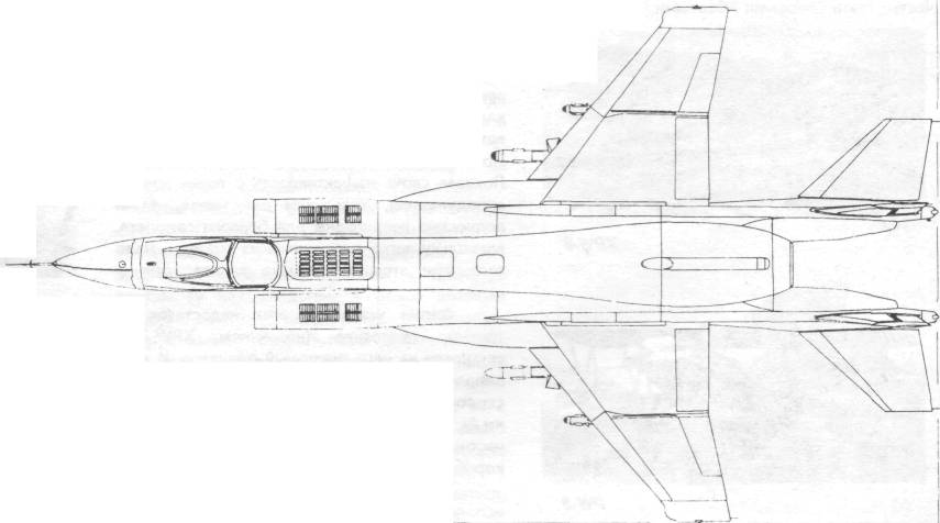 Y141a006.jpg